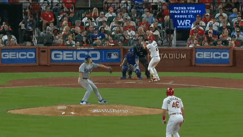 Baseball Game in Front of Crowd