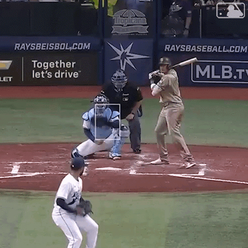 Baseball Game in Front of Raysbaseball.com Sign