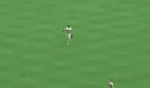 Baseball Game In Front Of Siteman Kids Sign GIF