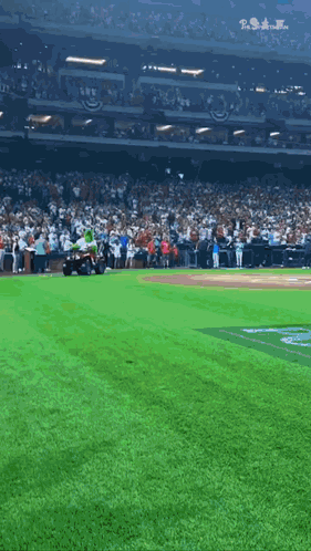 Baseball Game In Stadium GIF