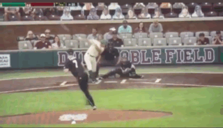 Baseball Game on Doble Field