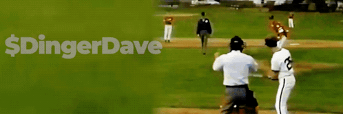 Baseball Game With $ Dingerdave Sign GIF