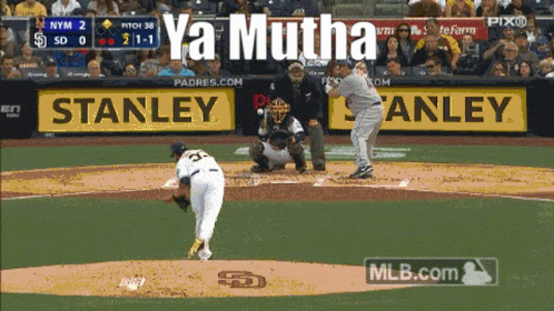 Baseball Game With Stanley Ads