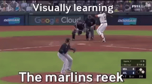 Baseball Game With Visually Learning Marlins Reek