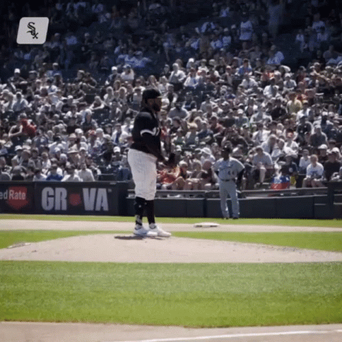 Baseball Pitcher Ready To Throw GIF