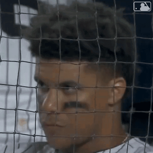 Baseball Player Behind Fence with Logo