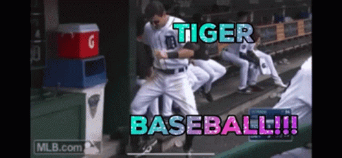 Baseball Player Dancing in Dugout Tiger Baseball