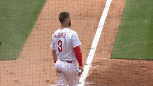 Baseball Player Harper