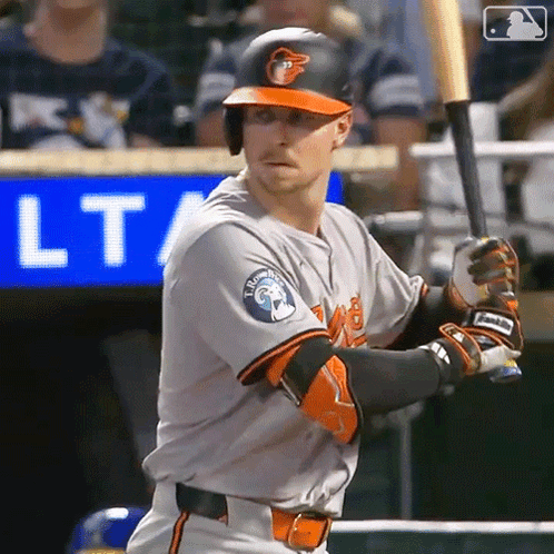 Baseball Player Holding Bat Near 'LT' Sign