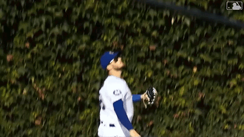 Baseball Player in Blue and White Uniform at Brick Wall