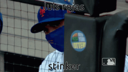 Baseball Player In Blue Mask And Luis Rojas Hat GIF