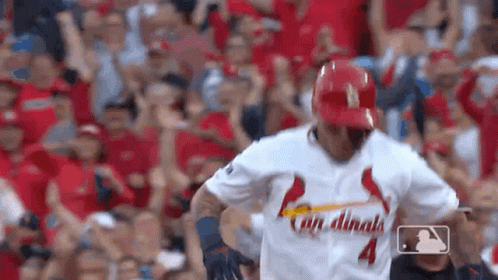 Baseball Player in Cardinals Jersey Before Crowd