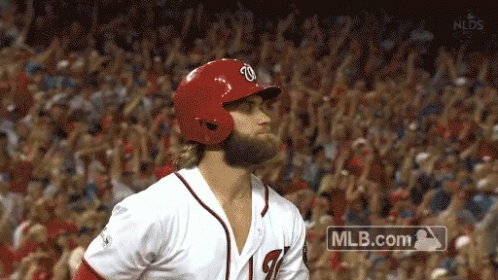 Baseball Player in Front of Crowd