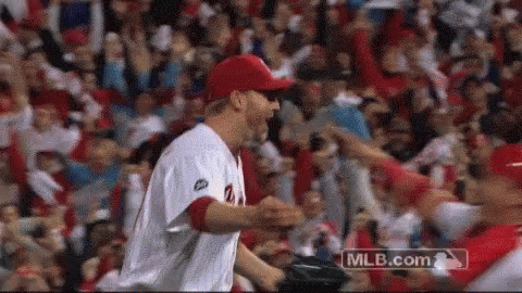 Baseball Player in Front of Crowd