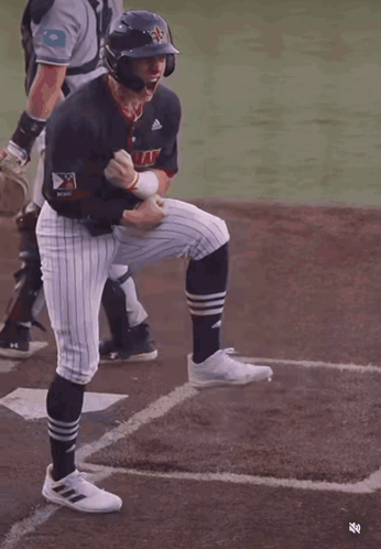 Baseball Player in New Island Jersey