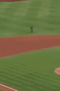 Baseball Player in Padres Jersey