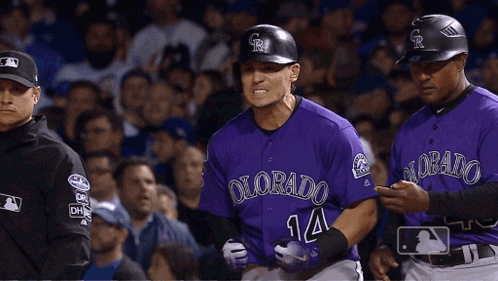 Baseball Player in Purple Colorado Jersey Walking to Dugout