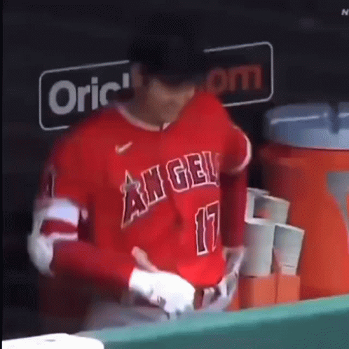 Baseball Player in Red Jersey Number 17