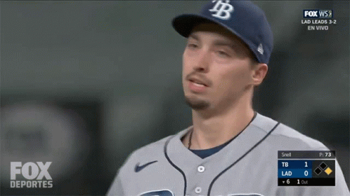 Baseball Player In TB Hat GIF