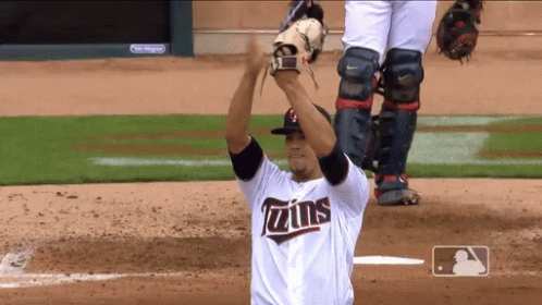 Baseball Player in Twins Jersey