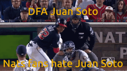 Baseball Player Juan Soto