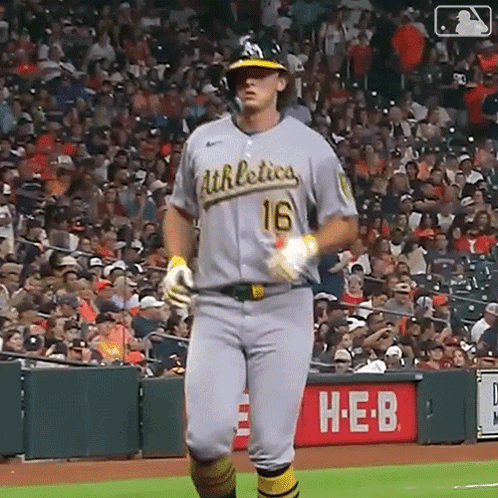 Baseball Player Number 16 Standing