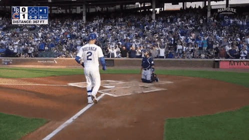 Baseball Player Number 2 GIF