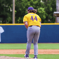 Baseball Player Number 44
