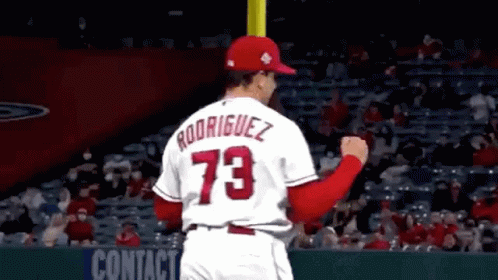 Baseball Player Number 73 Jersey