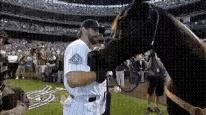 Baseball Player Petting Horse on Field