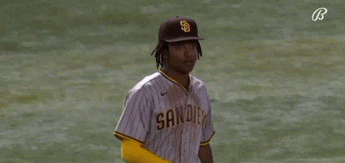 Baseball Player Standing on Field