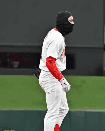 Baseball Player Wearing Mask And Gloves GIF