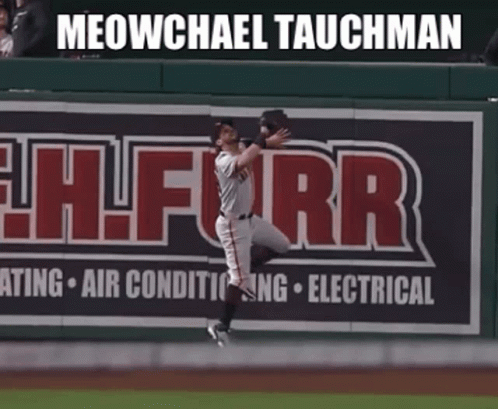 Baseball Player When You Get Traded to Te Dodgers #Sototolad