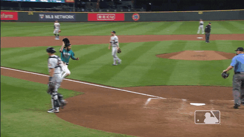 Baseball Playoff Walk Off GIF