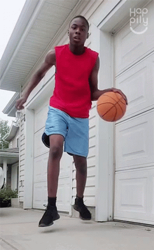 Baseketball 308 X 498 Gif GIF