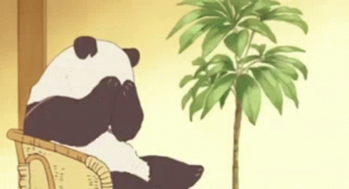 Bashful Adorable Panda Hiding Its Face GIF