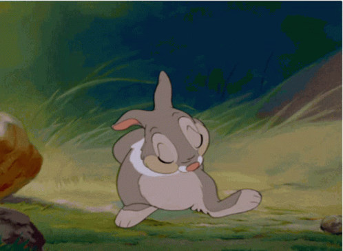 Bashful Cute Little Gray Bunny GIF