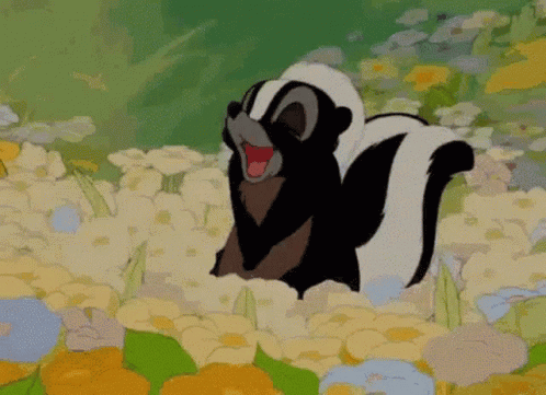 Bashful Cute Skunk Animation GIF