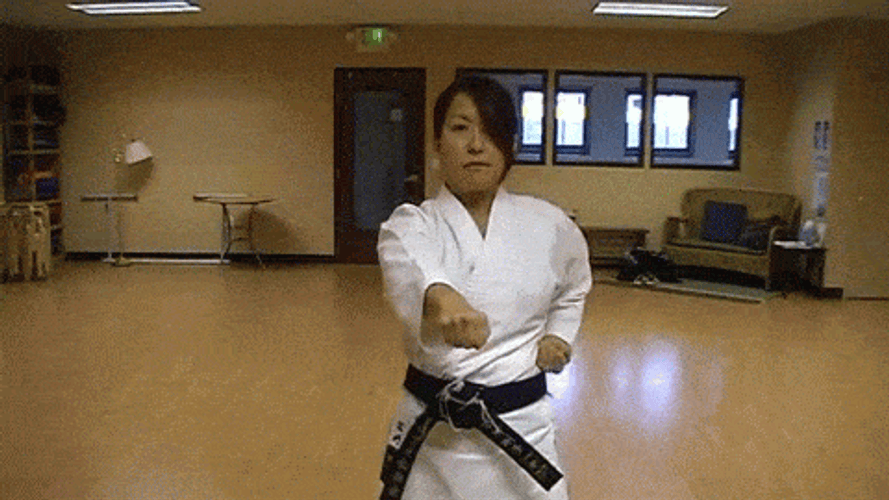 Basic Karate Technique GIF