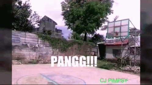 Basketball Court With Pangg