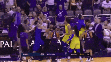 Basketball Game Between the Wings and the Mercury