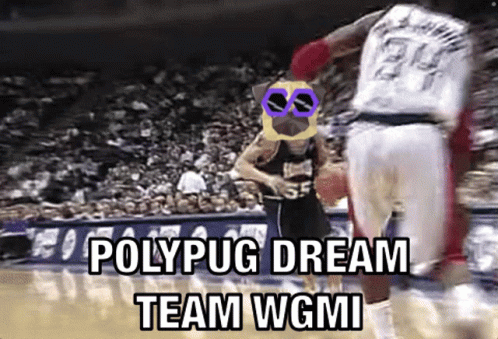 Basketball Game Polypug Dream Team Wgmi GIF