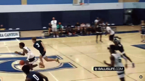 Basketball Game With Ballislife Logo