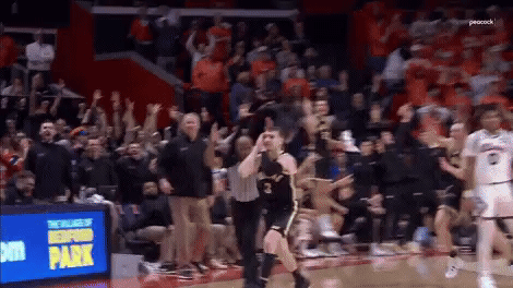 Basketball Game With Crowd And Peacock Logo GIF