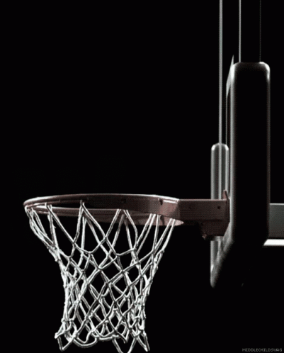 Basketball Going Through Hoop Middlechildswag GIF