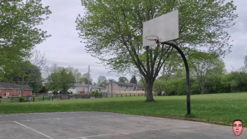 Basketball Hoop Surrounded by Trees and Houses