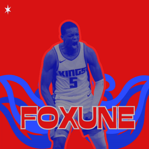 Basketball Player Foxune Poster