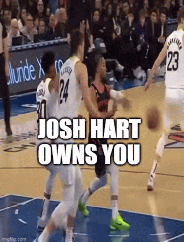 Basketball Player Josh Hart