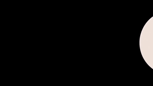 Basketball Referee With Official Healthcare Partner Sign GIF