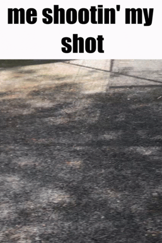 Basketball Shoot Your Shot Now Meme GIF